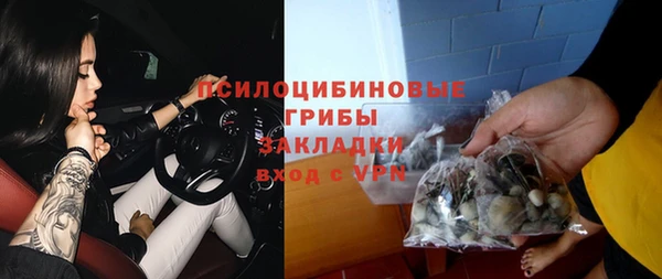 mdpv Богданович
