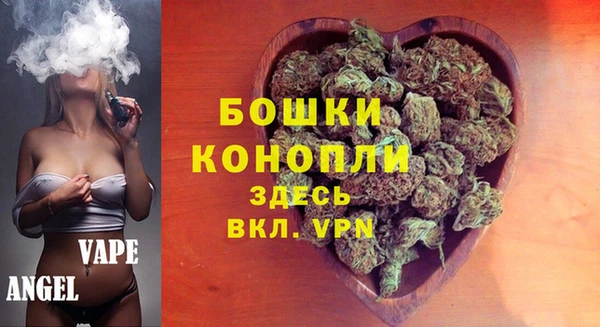 сатива Богородск