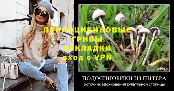 mdpv Богданович